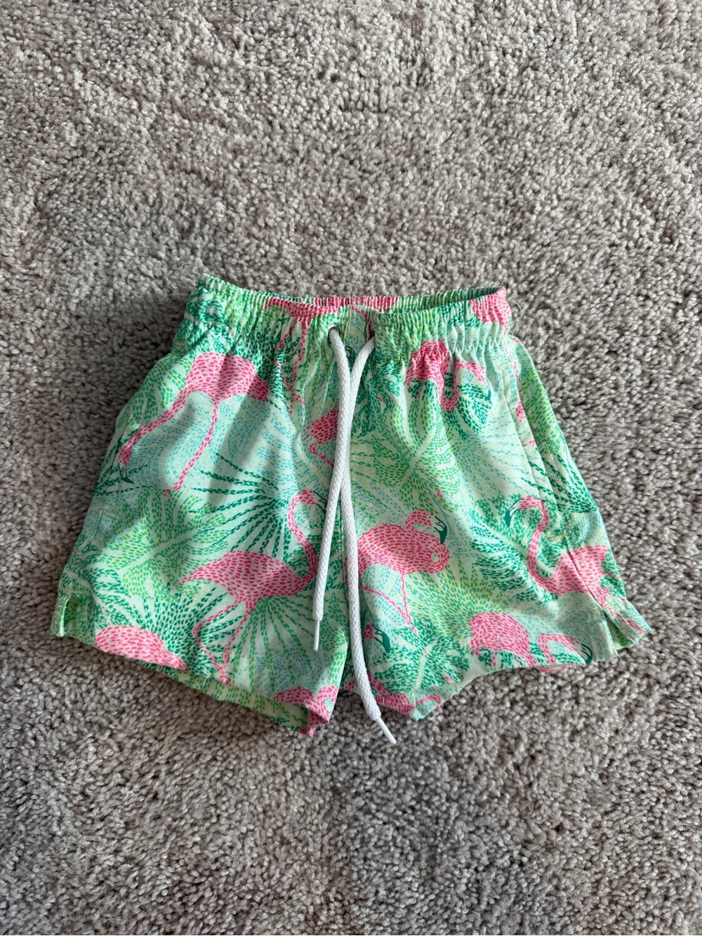 Kenny Flowers Kids Size 2 The Sunshine State Swim trunks